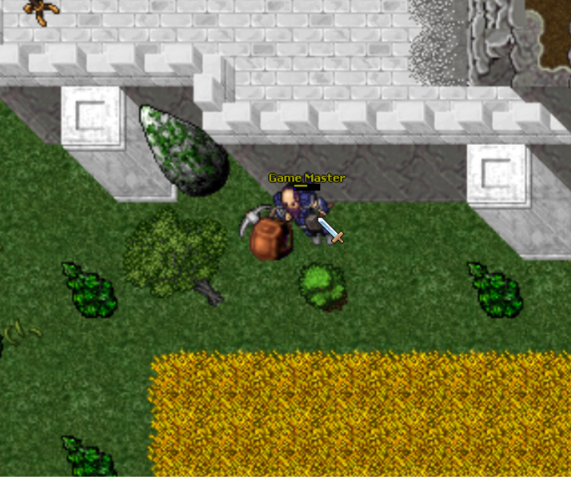Mining 1 - Collect Stones